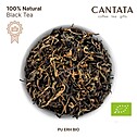 Pu-Erh BIO Black Tea